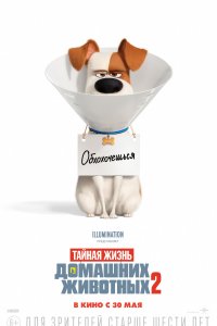 Постер к Тайная жизнь домашних животных 2 (2019)