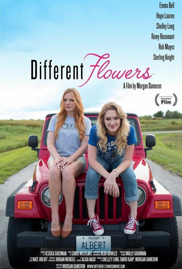 Постер к Разного поля ягоды (2017)