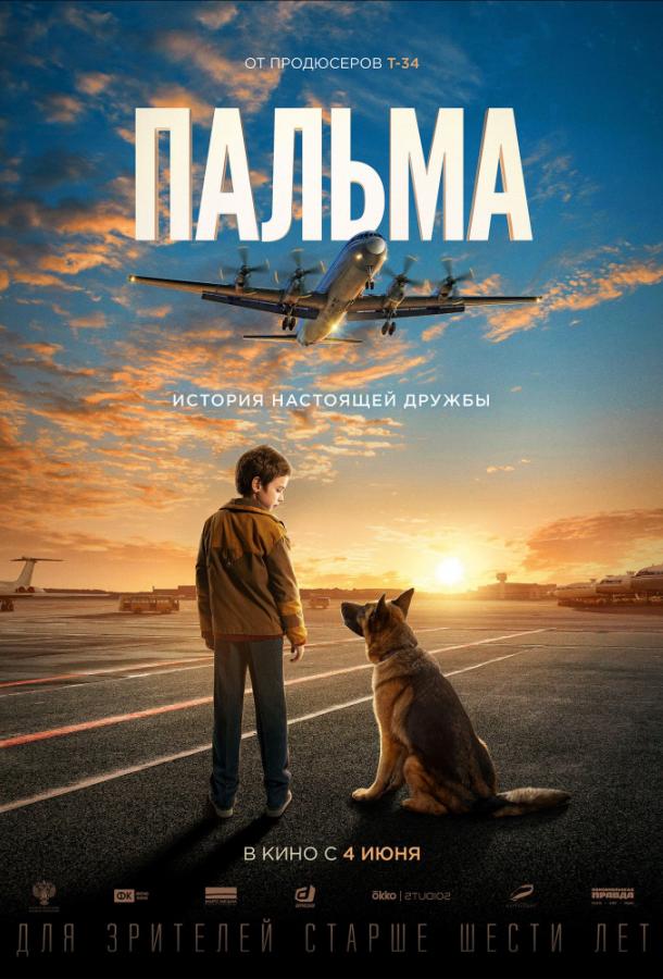 Постер к Пальма (2020)