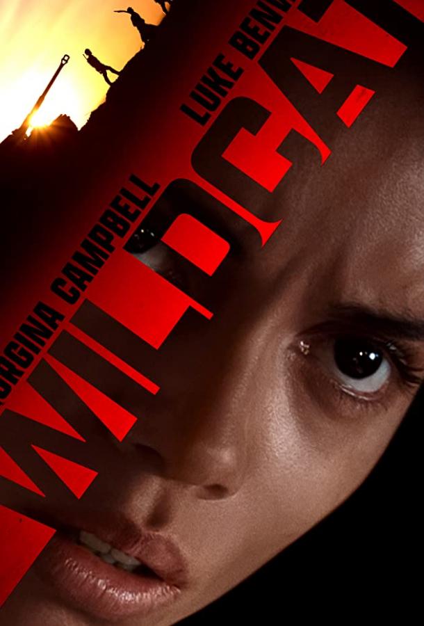 Постер к Дикая кошка (2021)
