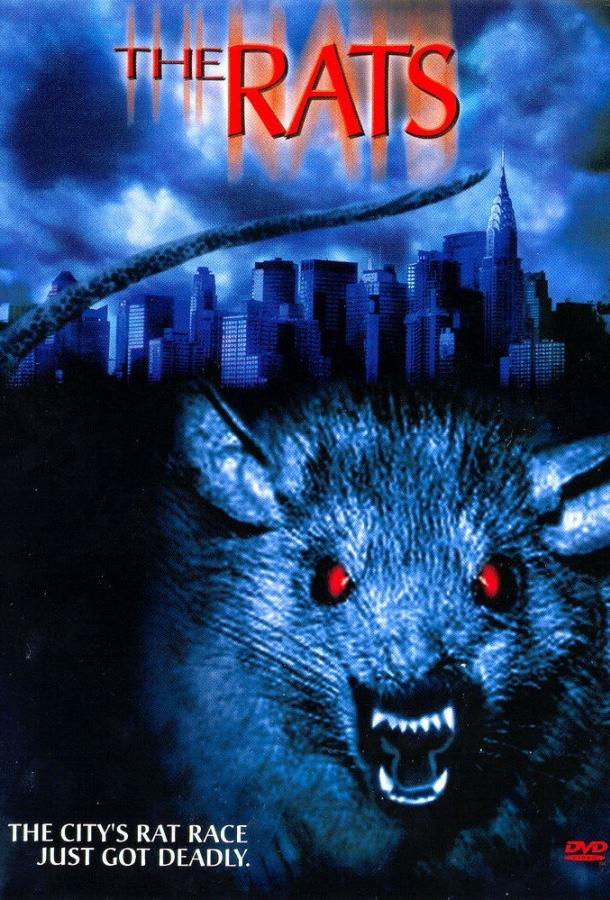 Постер к Крысы (2002)