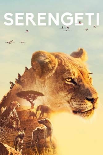 Постер к BBC: Серенгети (1-2 сезон)