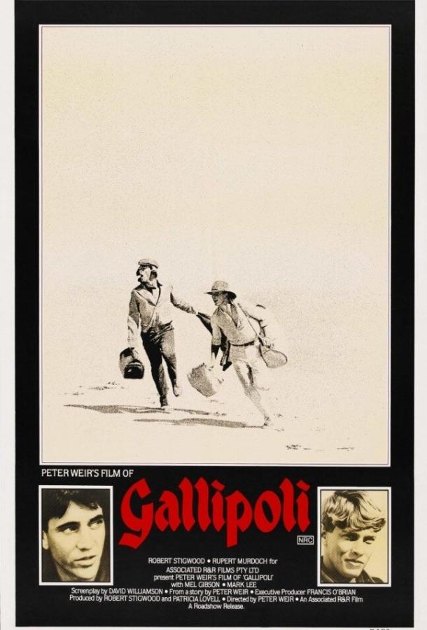 Постер к Галлиполи (1981)
