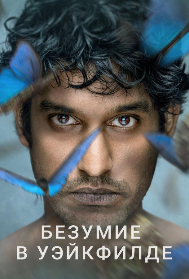Постер к Безумие в Уэйкфилде (1 сезон)