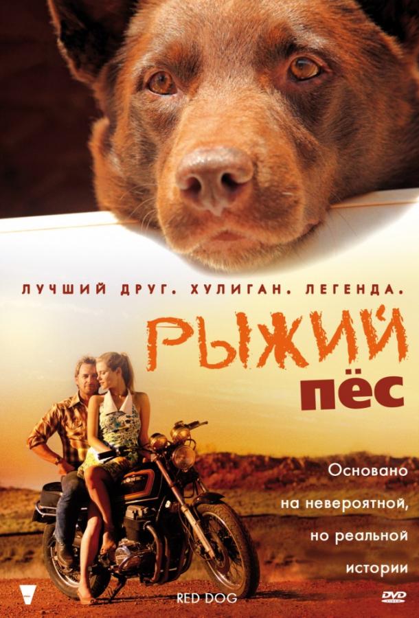 Постер к Рыжий пес (2011)