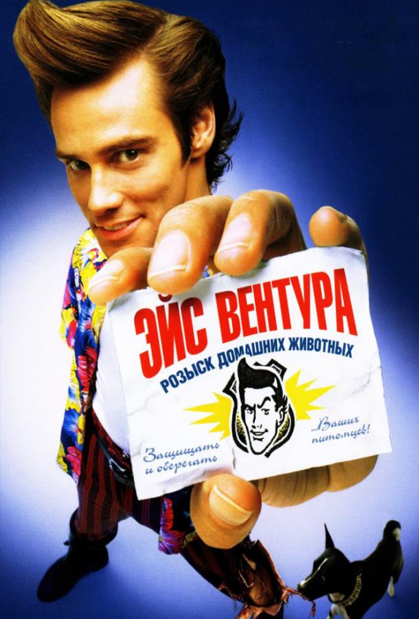 Постер к Эйс Вентура: Розыск домашних животных (1994)