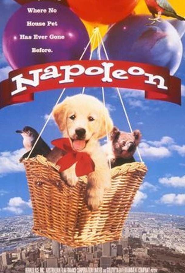 Постер к Наполеон (1995)