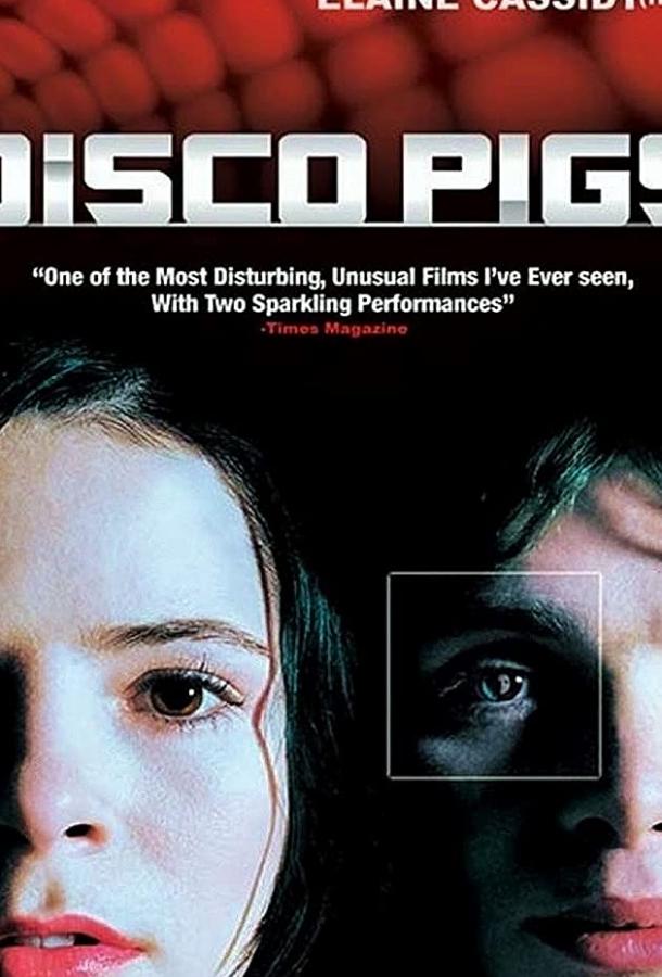 Постер к Дискосвиньи (2001)