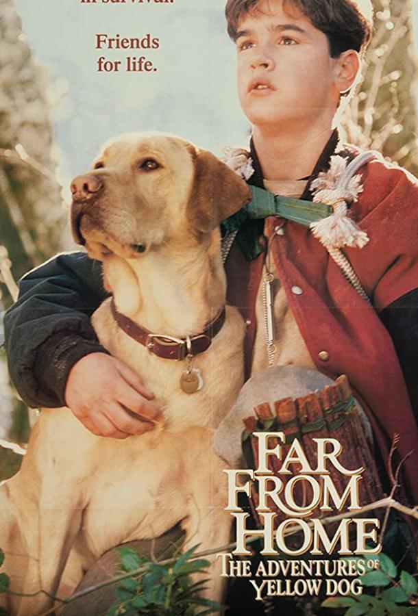 Постер к Далеко от дома: Приключения желтого пса (1994)