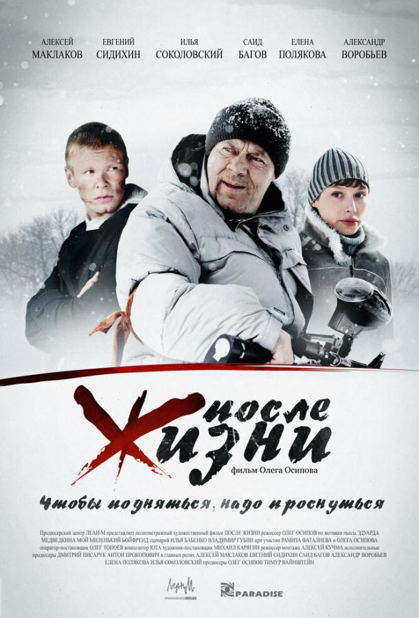 Постер к После жизни (2008)
