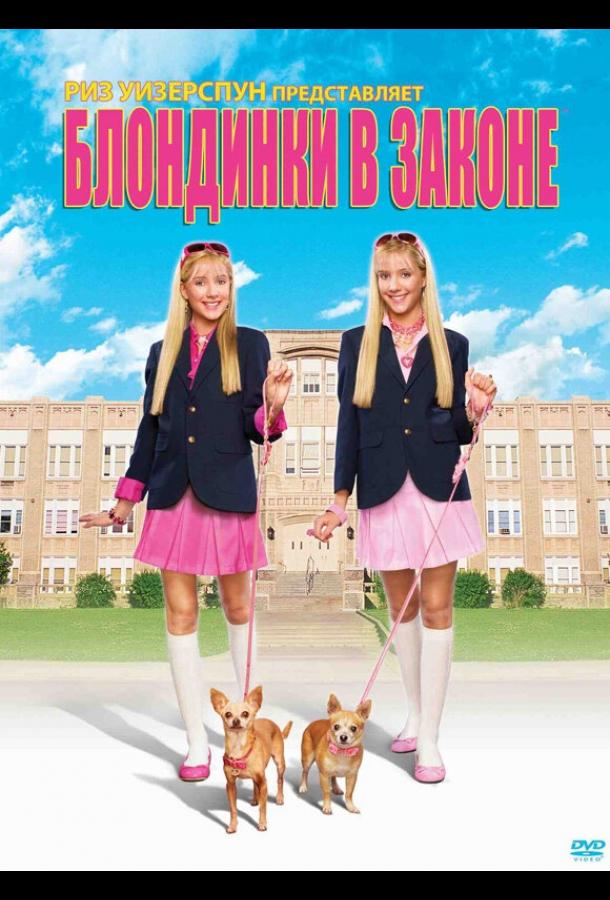 Постер к Блондинки в законе (2009)