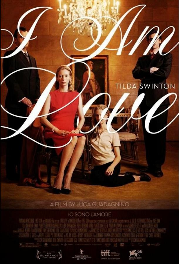 Постер к Я – это любовь (2009)