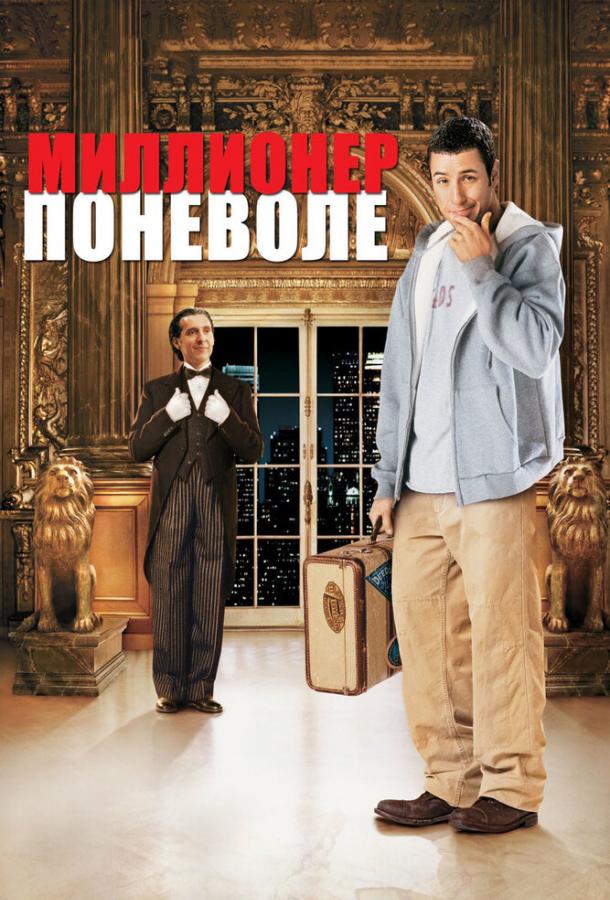 Постер к Миллионер поневоле (2002)