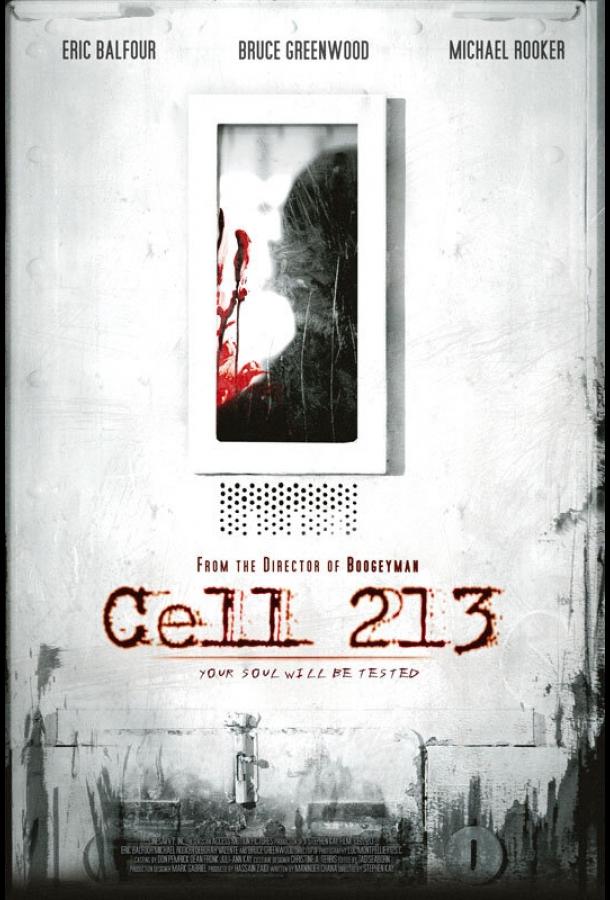 Постер к Камера 213 (2011)