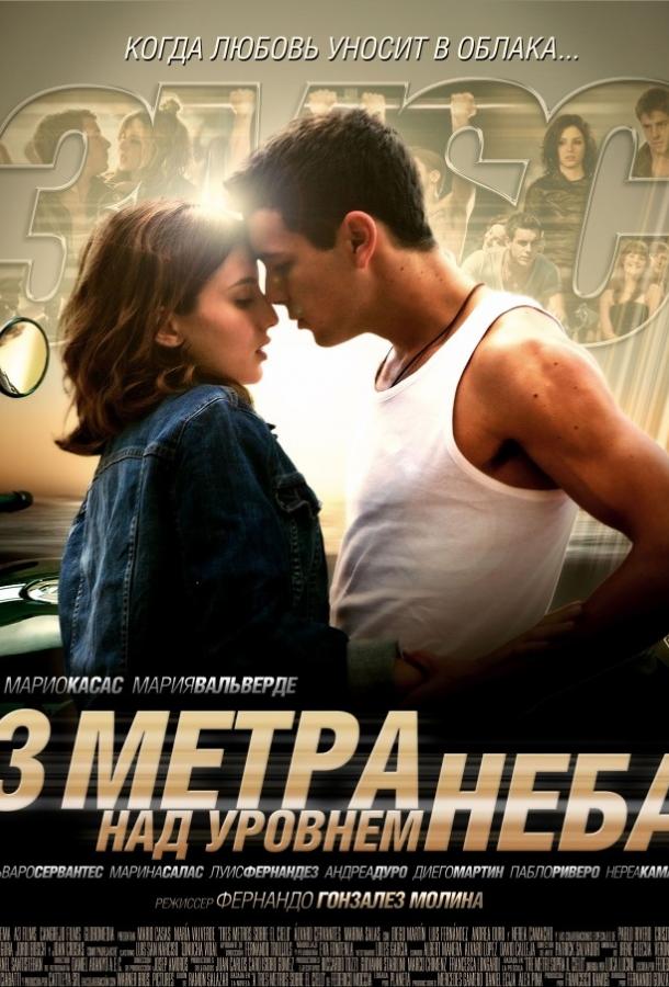 Постер к Три метра над уровнем неба (2010)