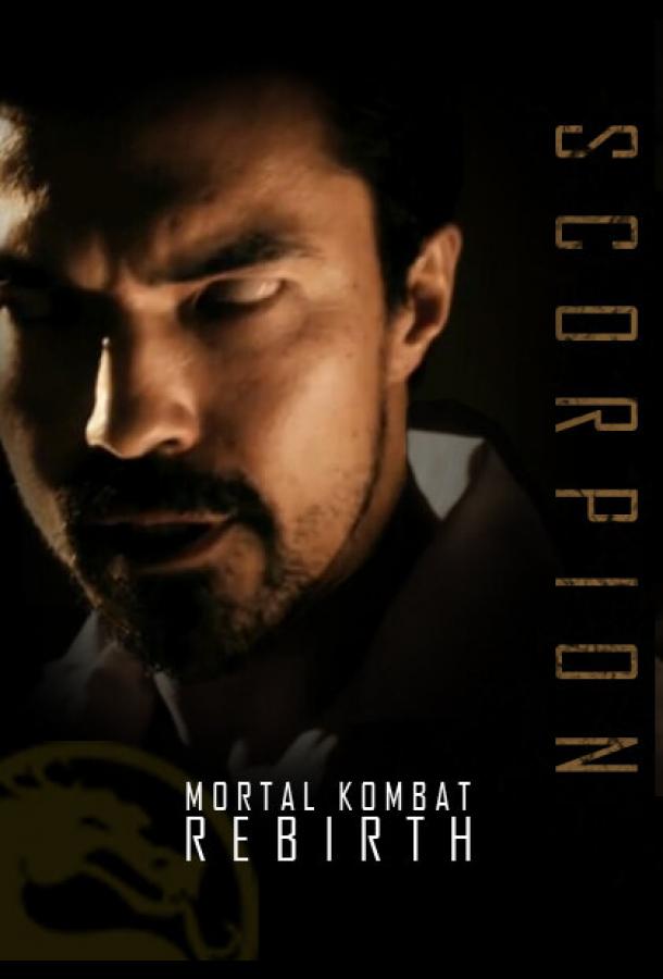 Постер к Смертельная битва: Возрождение (2010)
