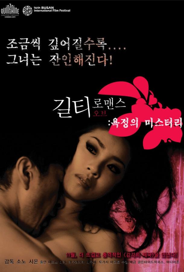 Постер к Виновный в романе (2011)