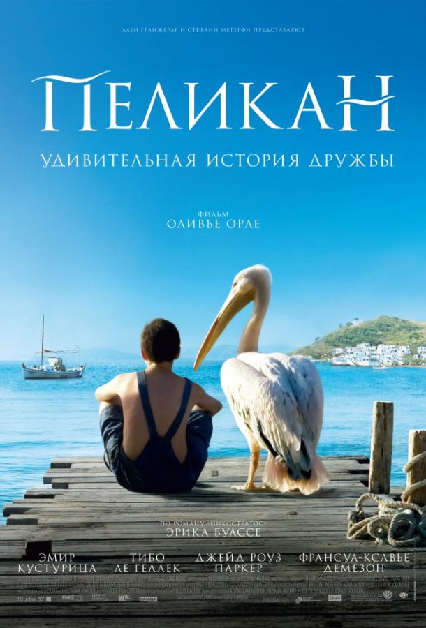 Постер к Пеликан (2011)