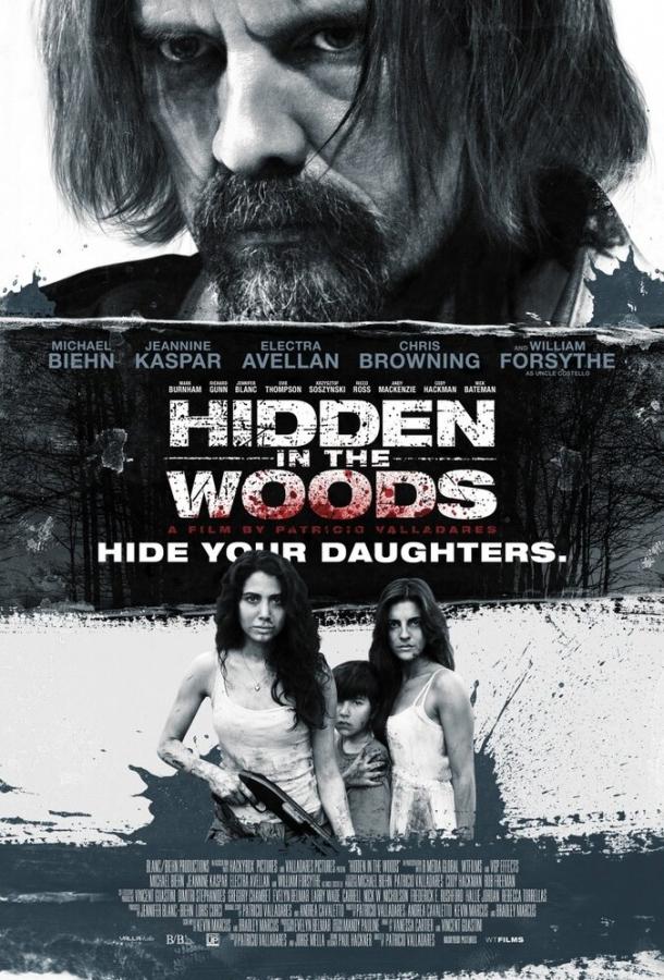 Постер к Спрятанный в лесу (2014)