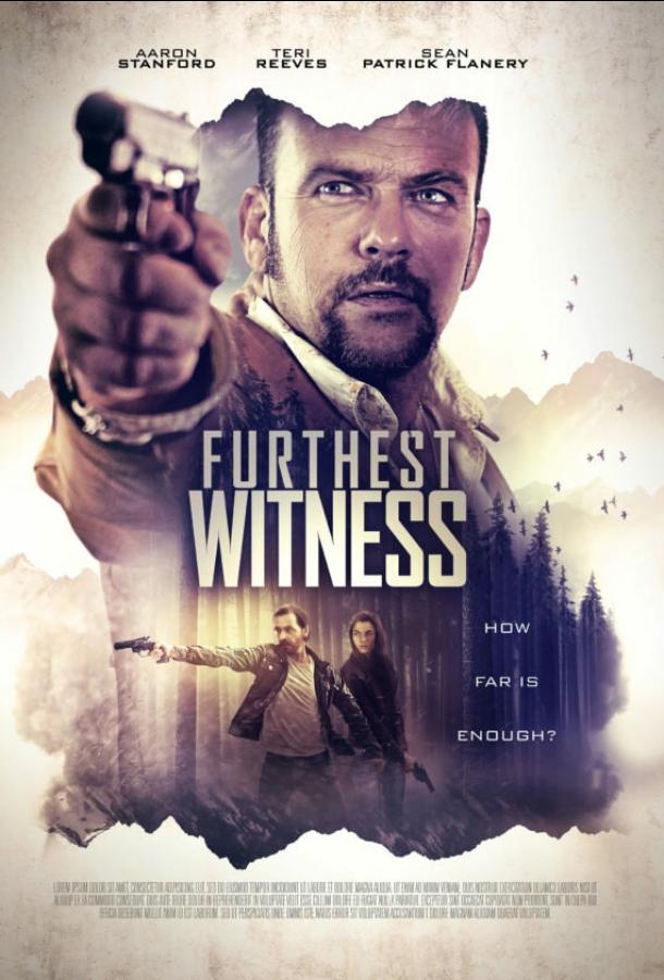Постер к Далекий свидетель (2017)