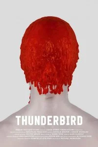 Постер к Громовая птица (2019)